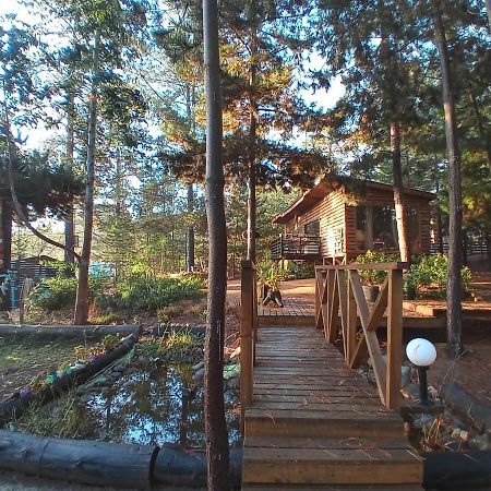 פיצ'ילמו Lodge Terra Mar מראה חיצוני תמונה