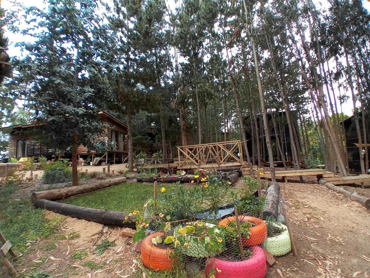 פיצ'ילמו Lodge Terra Mar מראה חיצוני תמונה