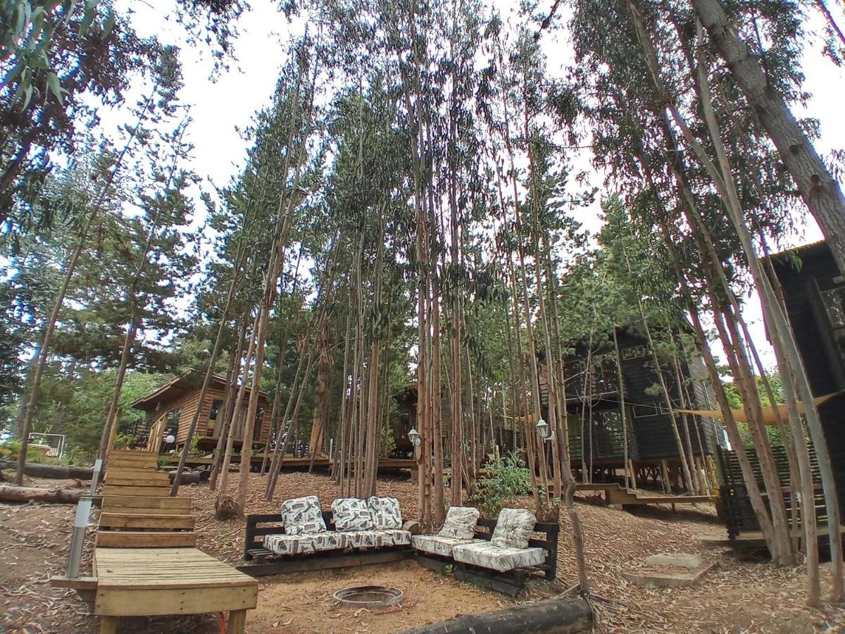 פיצ'ילמו Lodge Terra Mar מראה חיצוני תמונה