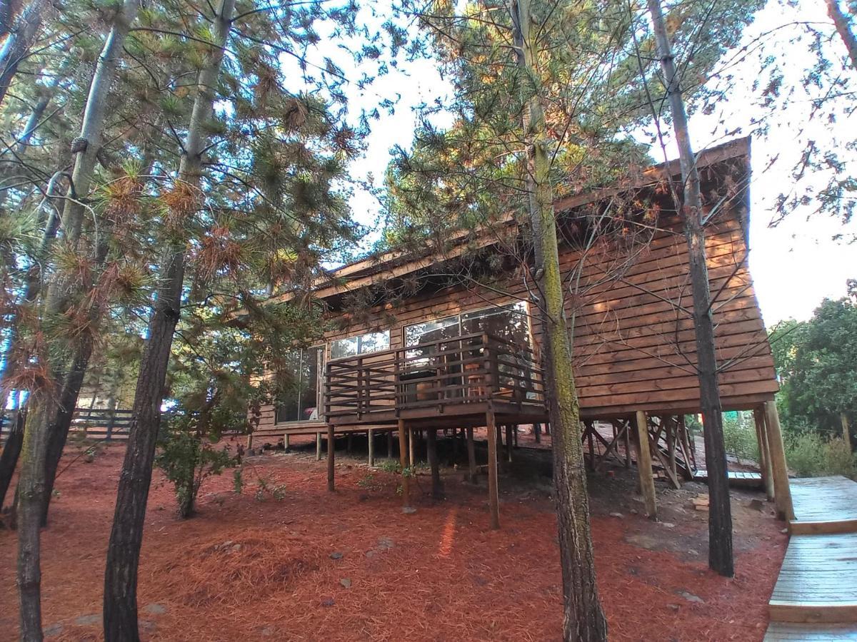 פיצ'ילמו Lodge Terra Mar מראה חיצוני תמונה