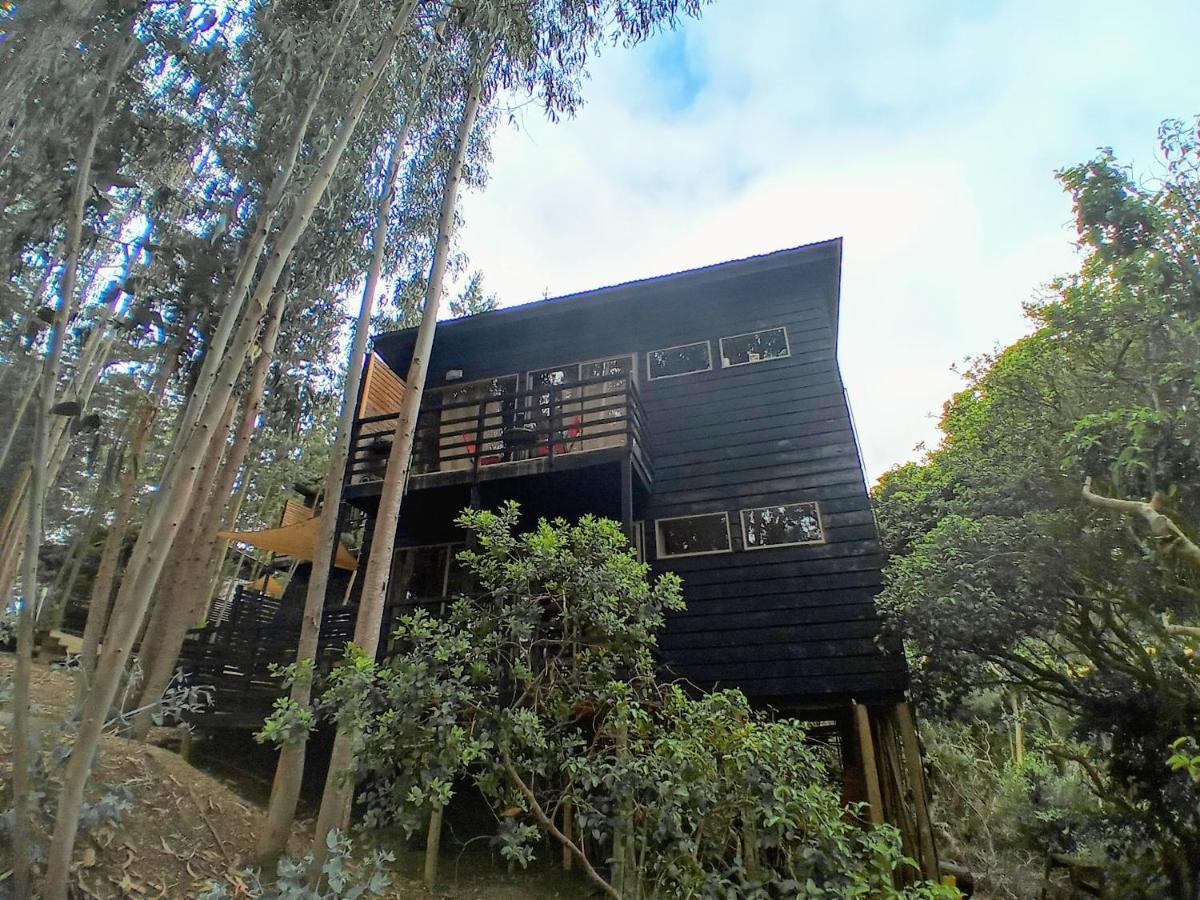 פיצ'ילמו Lodge Terra Mar מראה חיצוני תמונה