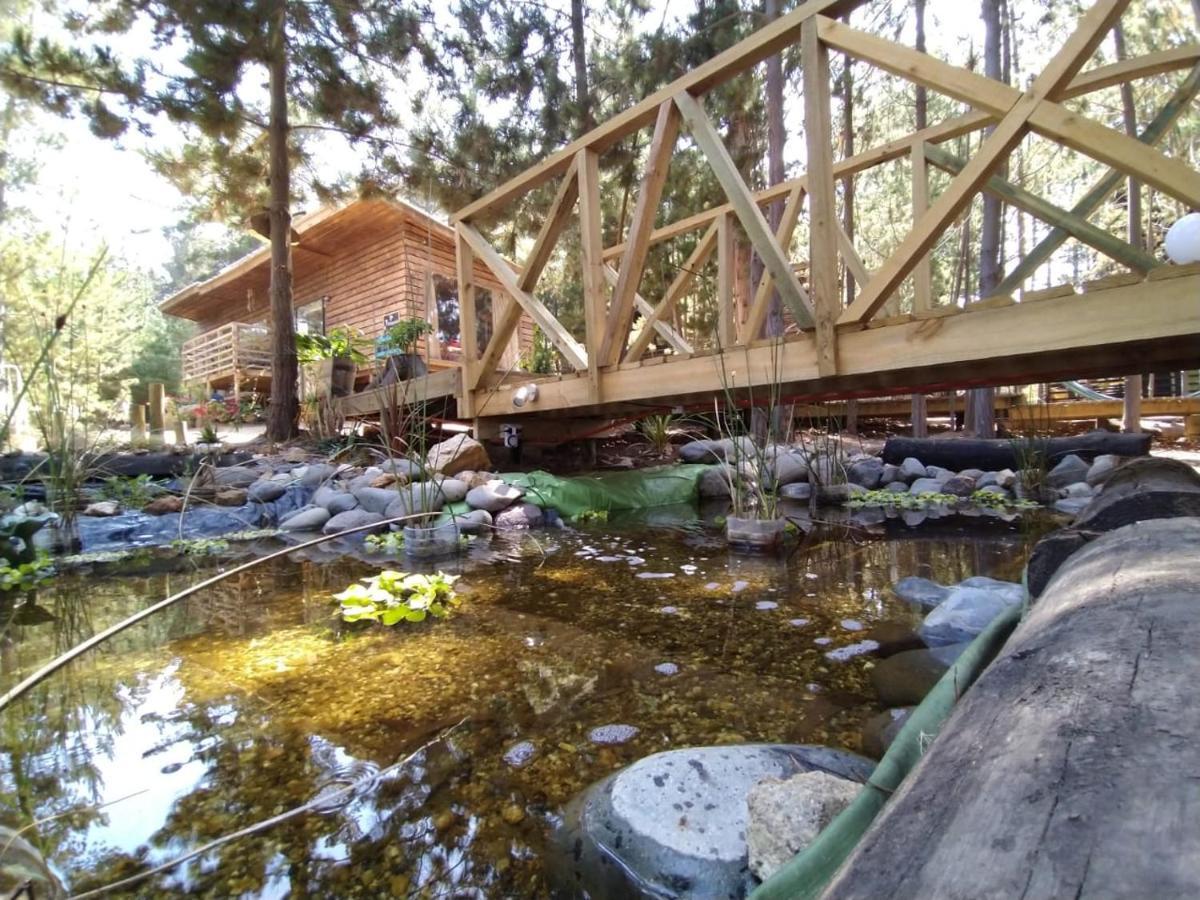 פיצ'ילמו Lodge Terra Mar מראה חיצוני תמונה