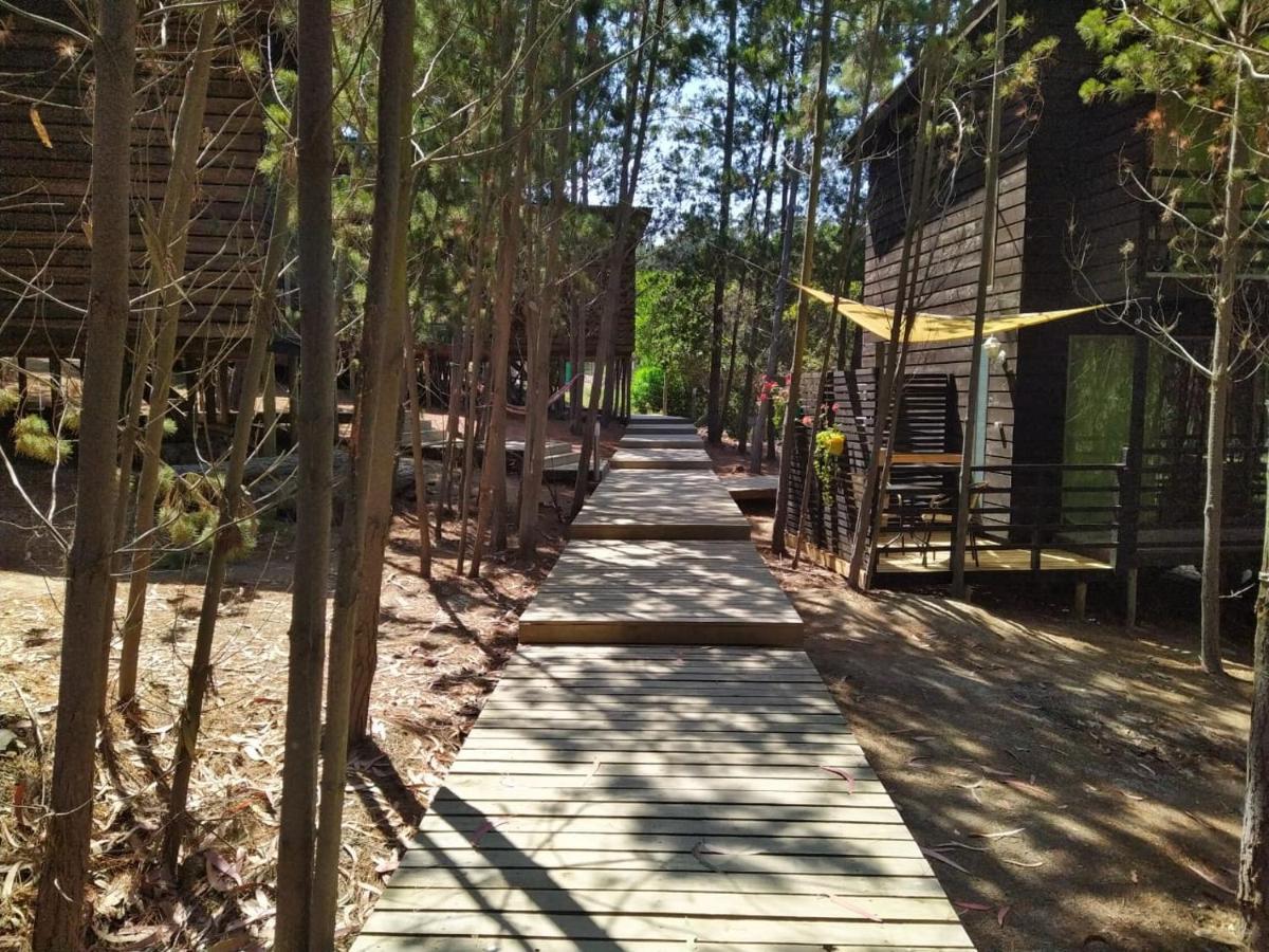 פיצ'ילמו Lodge Terra Mar מראה חיצוני תמונה