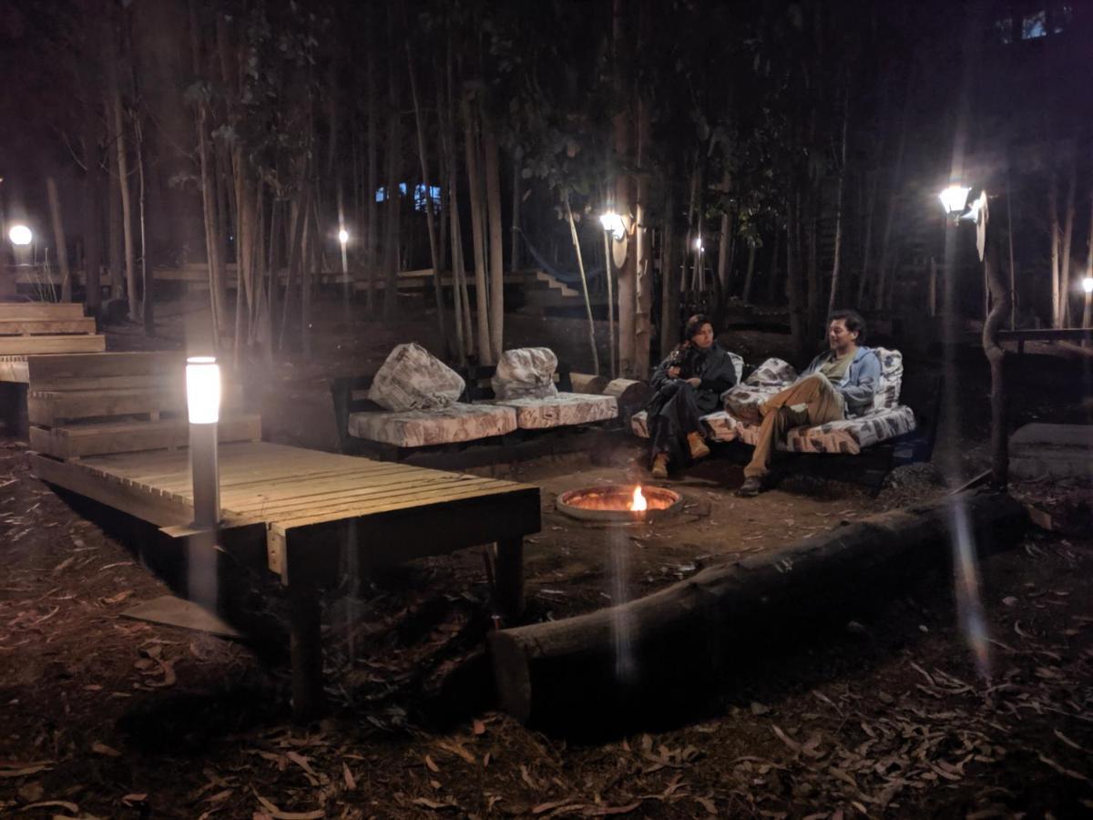 פיצ'ילמו Lodge Terra Mar מראה חיצוני תמונה