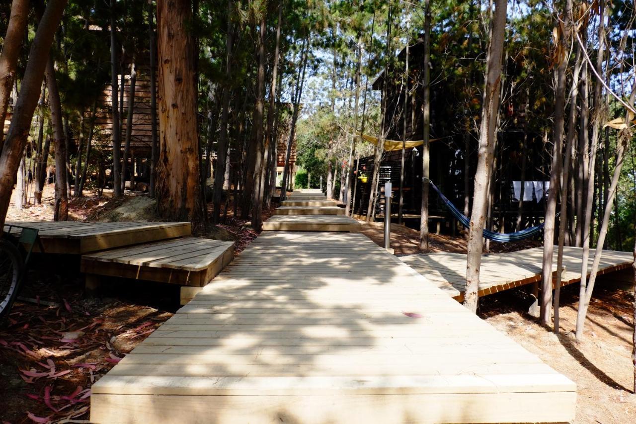 פיצ'ילמו Lodge Terra Mar מראה חיצוני תמונה